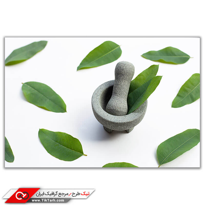 تصویر باکیفیت از برگ پرتقال
