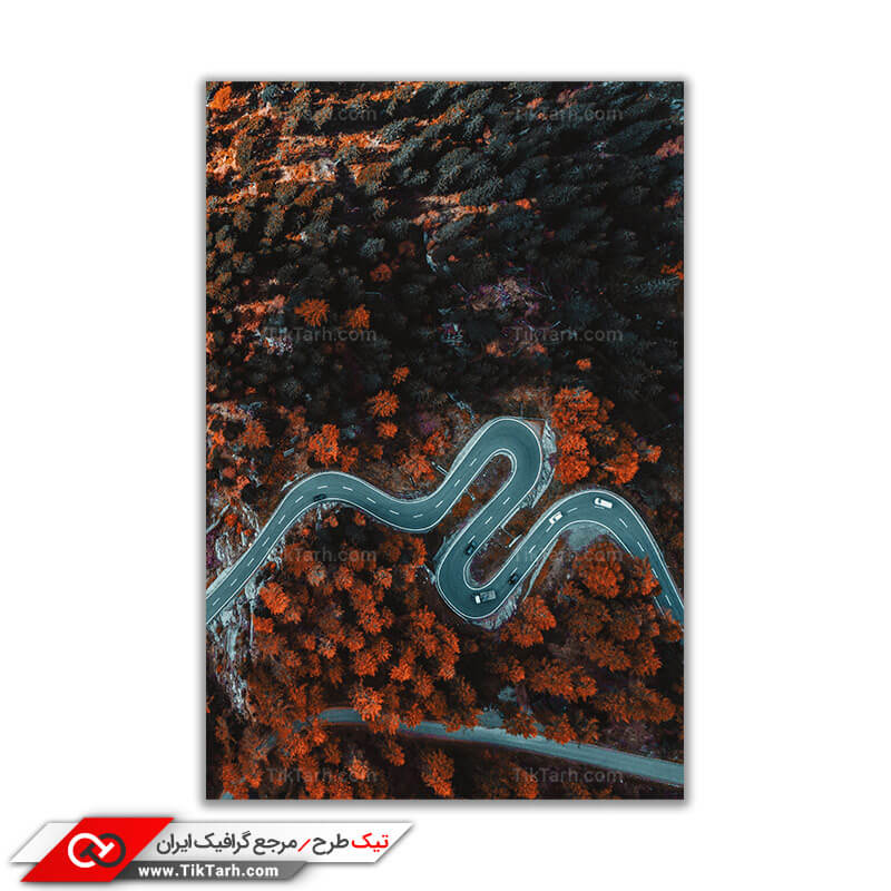 عکس باکیفیت جاده جنگلی