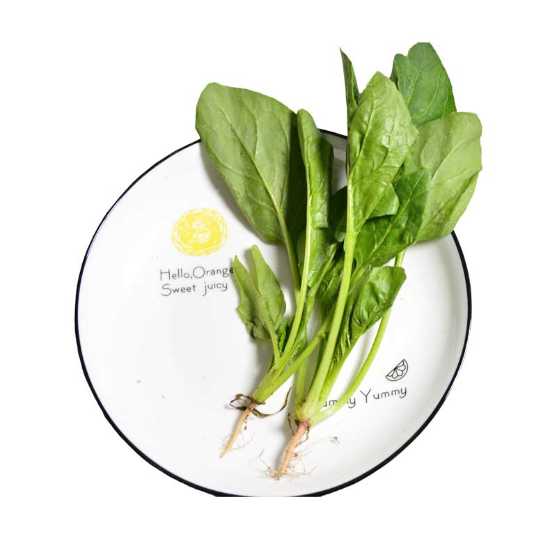 طرح سبزی اسفناج داخل بشقاب