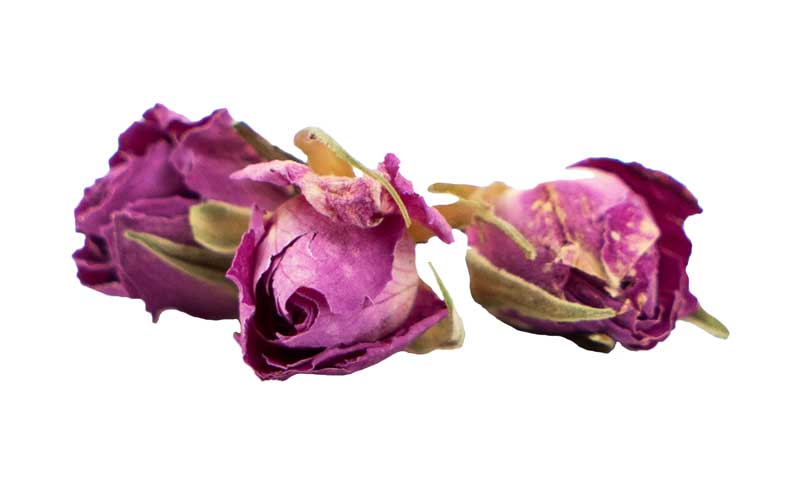 طرح گرافیکی با کیفیت گل محمدی خشک