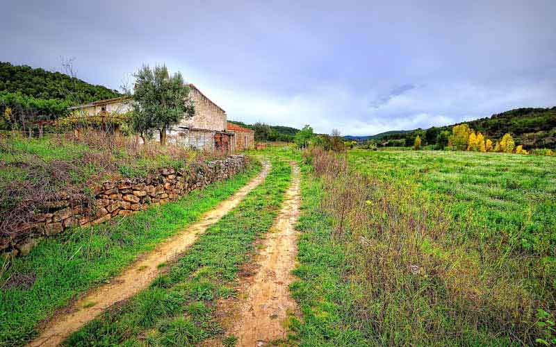 تصویر باکیفیت راه خاکی در دشت