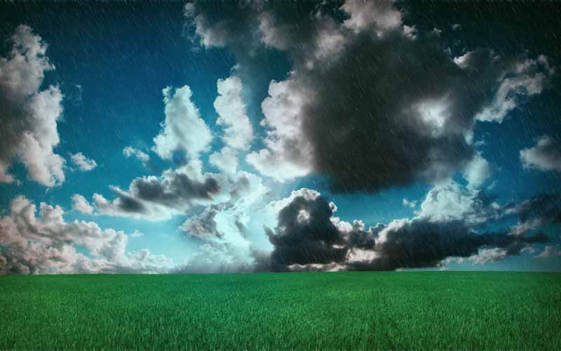 تصویر باکیفیت بارش باران در گندم زار