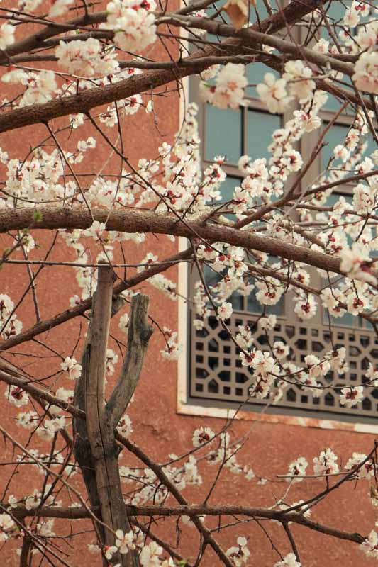 تصویر باکیفیت پنجره با معماری قدیمی