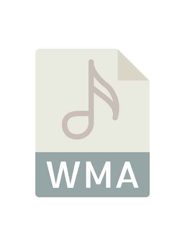 دانلود طرح آیکون فرمت WMA