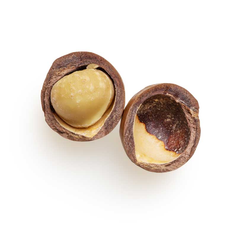 عکس فندق شکسته شده