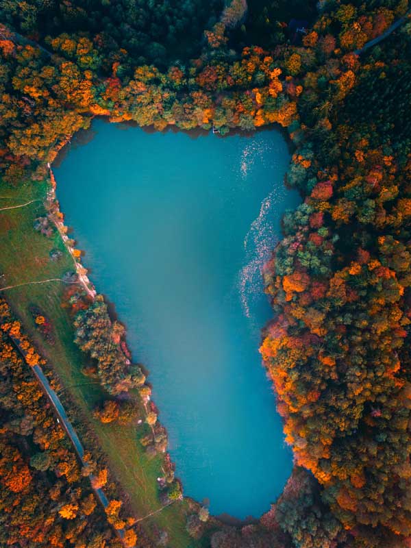 تصویر دریاچه جنگلی
