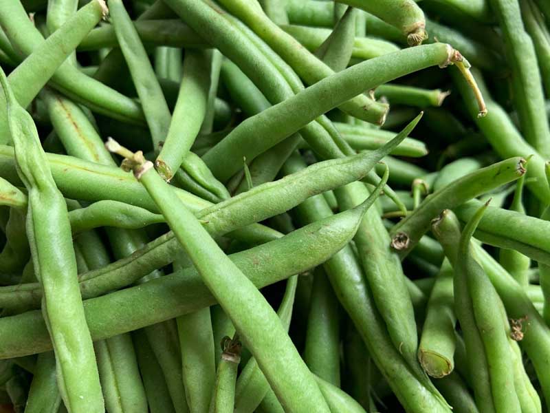دانلود عکس گرافیکی لوبیا سبز