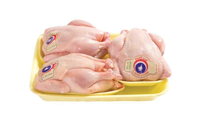 دانلود طرح گوشت مرغ
