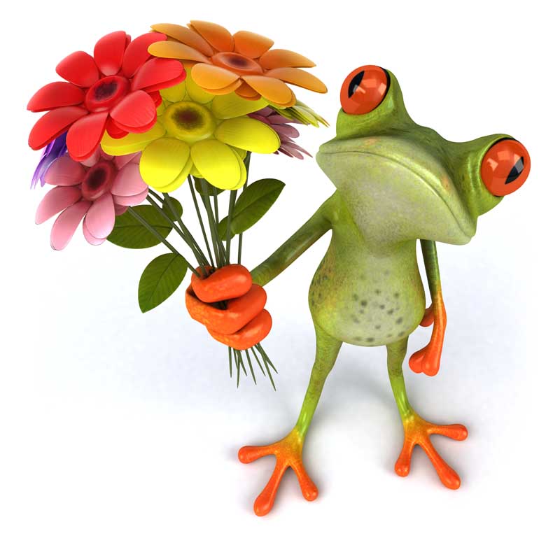 عکس سه بعدی از قورباغه و دسته گل
