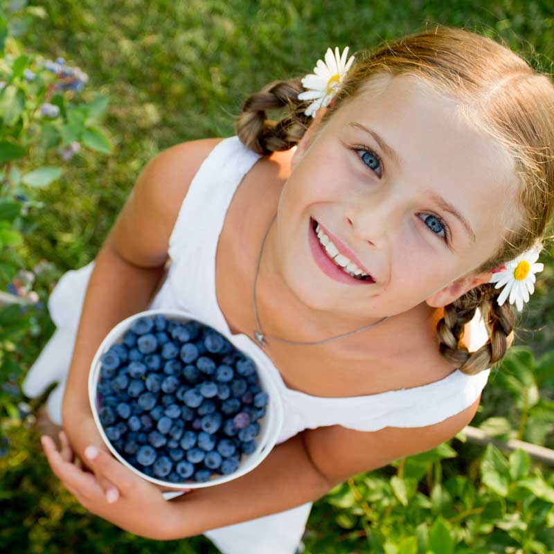 دانلود تصویر با کیفیت دختر بچه زیبا چشم آبی و یک کاسه بلوبری