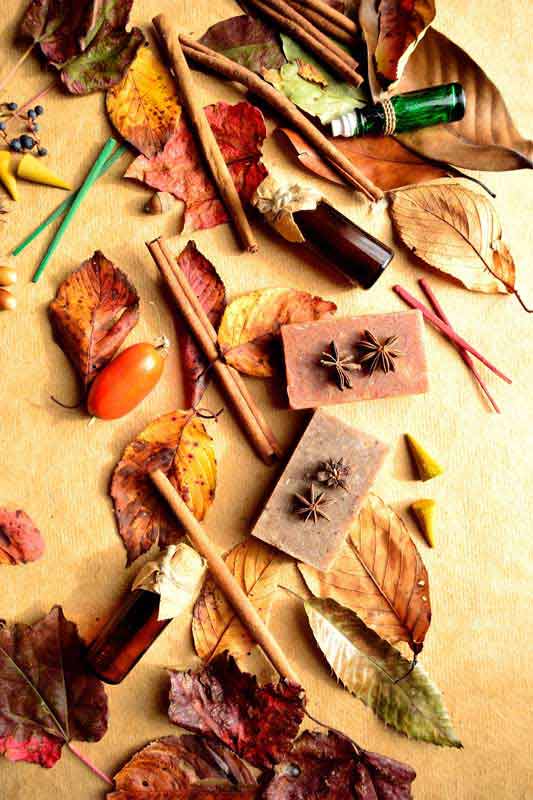 عکس از برگ و گیاهان دارویی