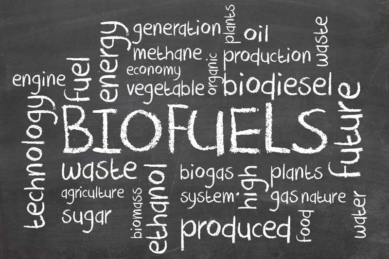 تصویر از تخته سیاه با نوشته Biofuel