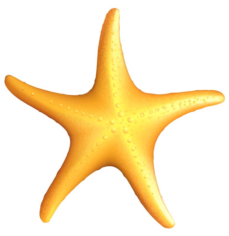 دانلود طرح ستاره زرد