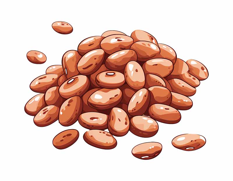 دانلود طرح لوبیا چیتی