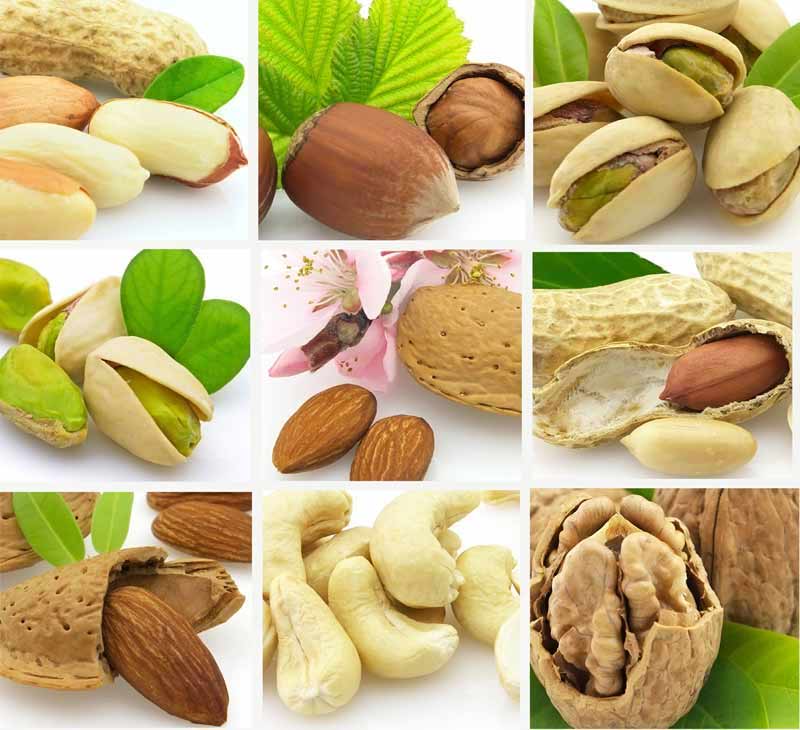 عکس لارج فرمت از مغز های آجیل