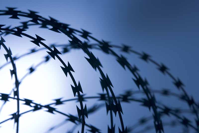 تصویر با کیفیت سیم خاردار