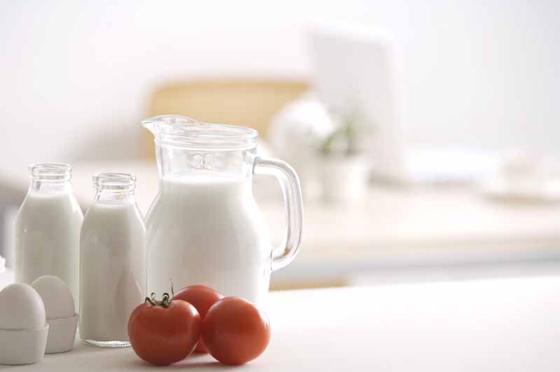 عکس با کیفیت از شیر در پارچ و بطری
