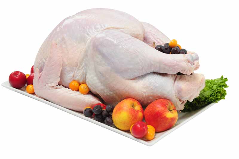 عکس لارج فرمت از مرغ و سیب