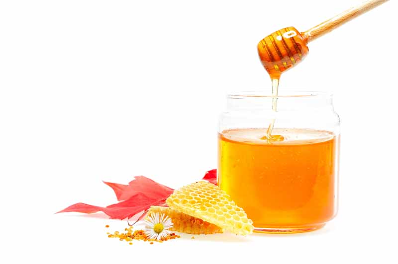عکس لارج فرمت از موم و عسل