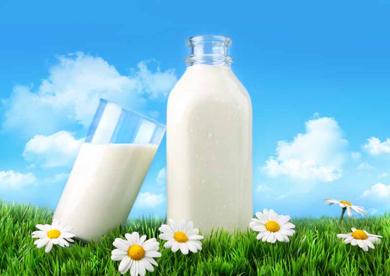 عکس با کیفیت از لیوان و بطری شیر
