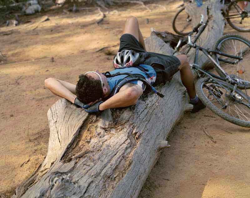 عکس زیبا از دوچرخه سوار کنار تنه درخت