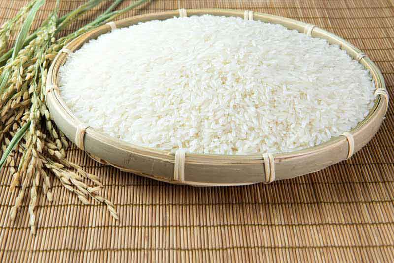 دانلود تصویر با کیفیت از خوشه برنج