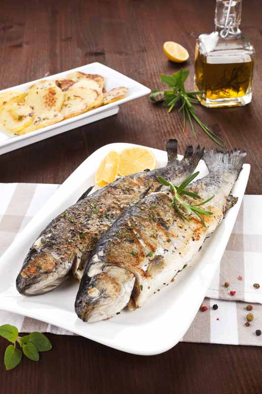 عکس لارج فرمت از کباب ماهی و نوشیدنی