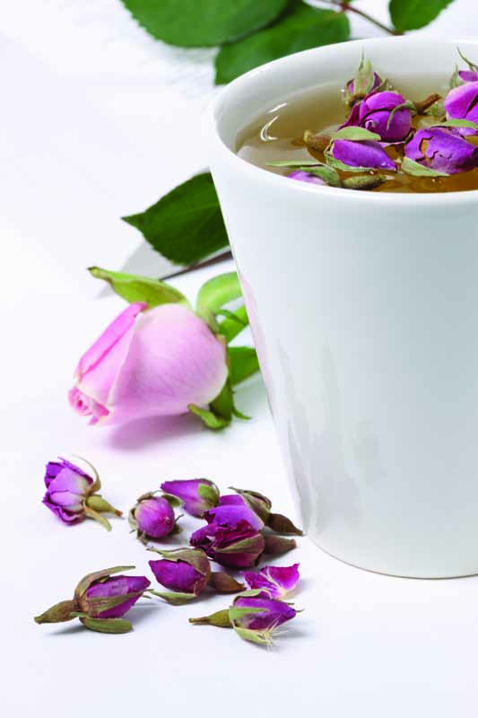 عکس با کیفیت دمنوش غنچه گل محمدی