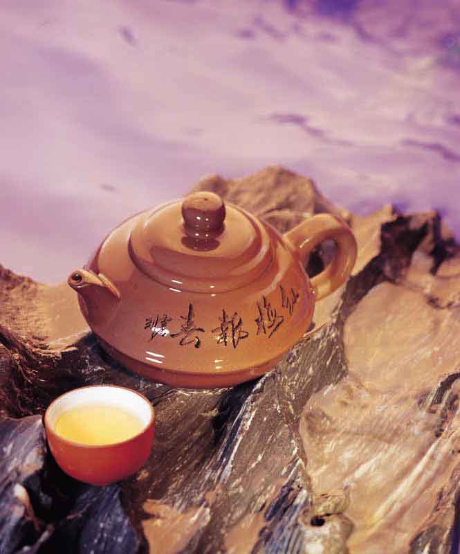 عکس زیبا از قوری در بالای کوه