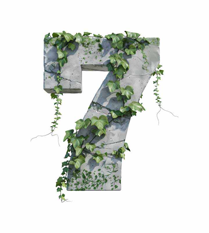 دانلود طرح شماره 7