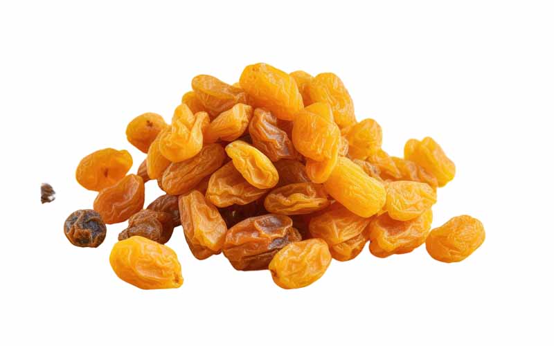 دانلود طرح کشمش