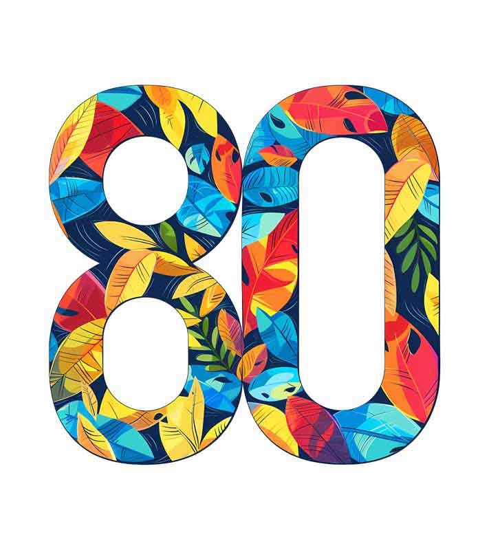 دانلود طرح شماره 80