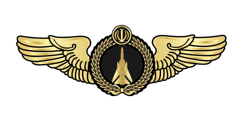 دانلود لوگوی بال خلبانی جنگنده سوخو 24
