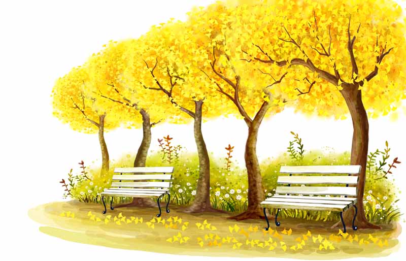 دانلود عکس از نیمکت ها زیر درخت