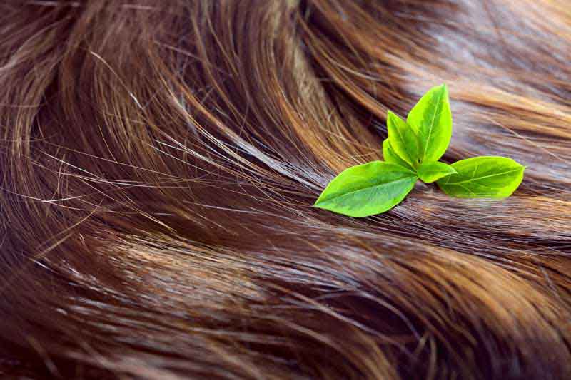 عکس لارج فرمت موی قهوه ای لخت