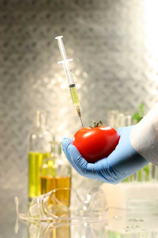 عکس با کیفیت از تزریق در گوجه