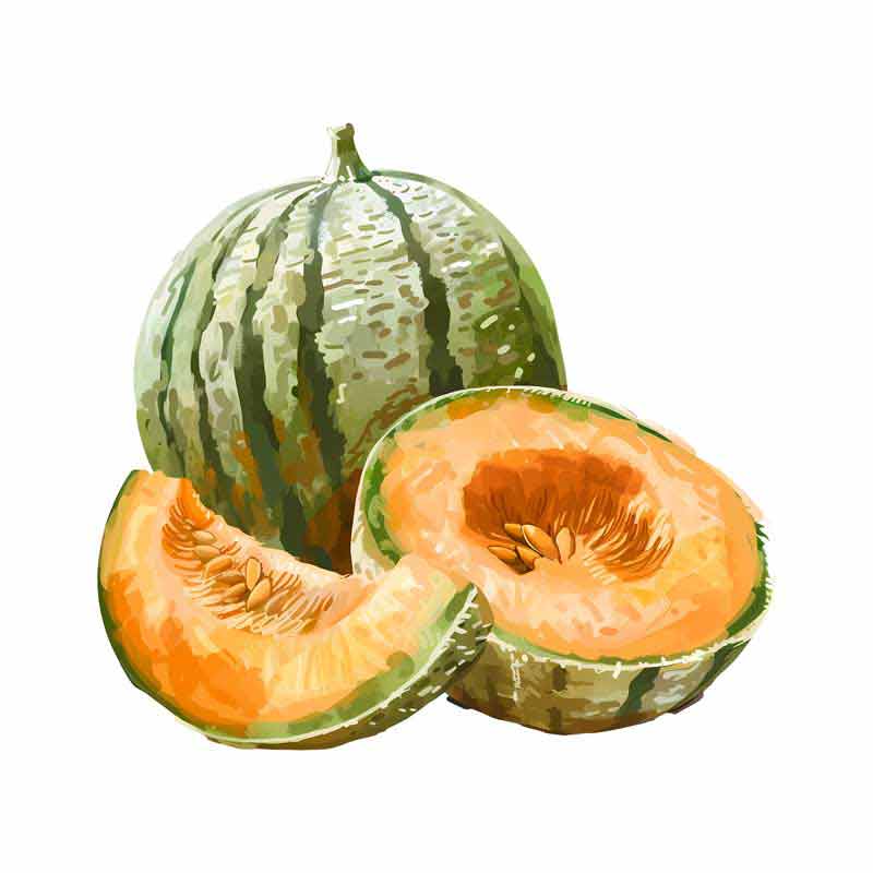 دانلود طرح طالبی