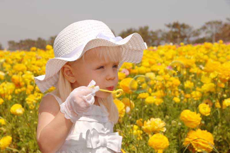 عکس لارج فرمت از دختر میان گل ها