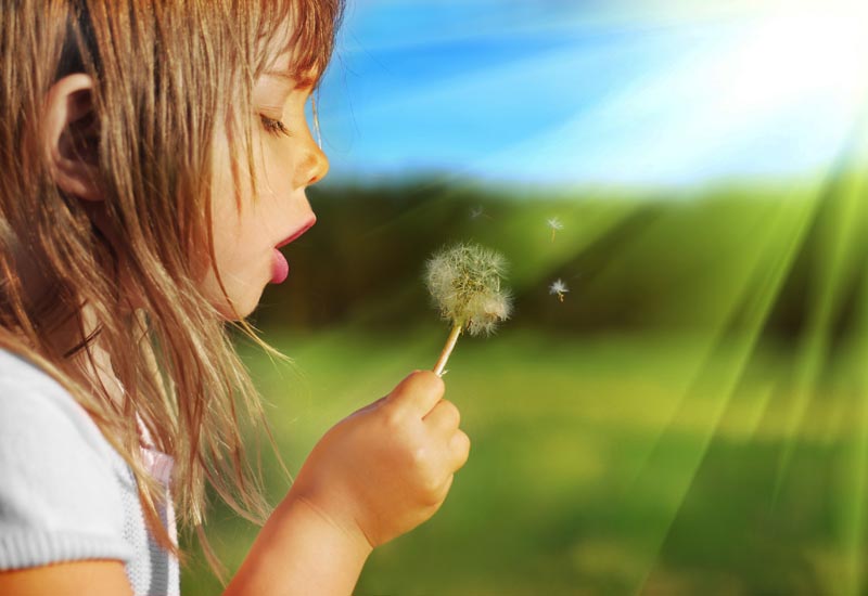 عکس لارج فرمت از دختربچه و قاصدک