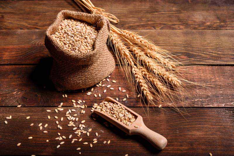 عکس با کیفیت از گونی گندم کوچک